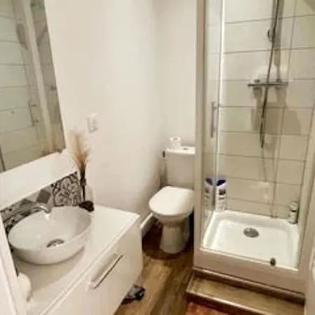 Nancy-place, 3d, Jacuzzi, Clim, Thermal Et Artem Διαμέρισμα *